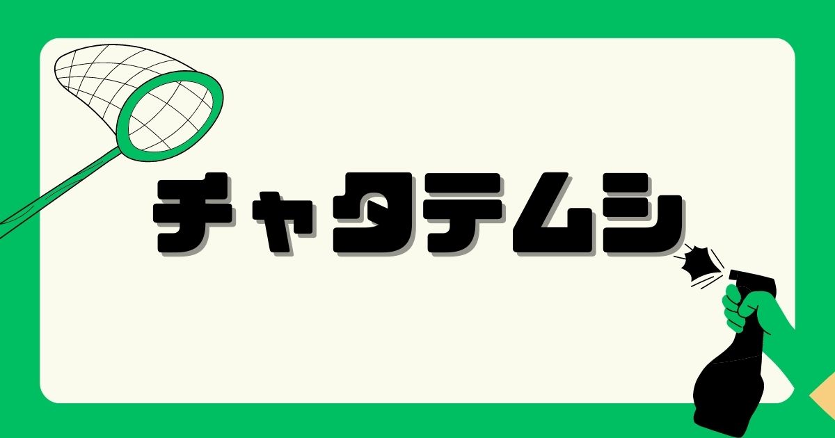 カテゴリー：チャタテムシ