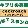 ゴキブリの英語名とその語源やスラング