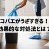 コバエがうざすぎる時の対処法とは？